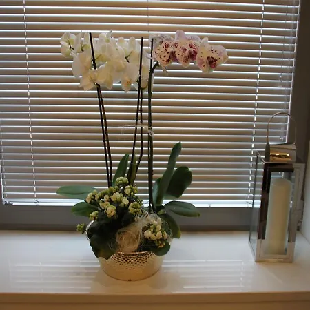 Prestige Old Town #2 *