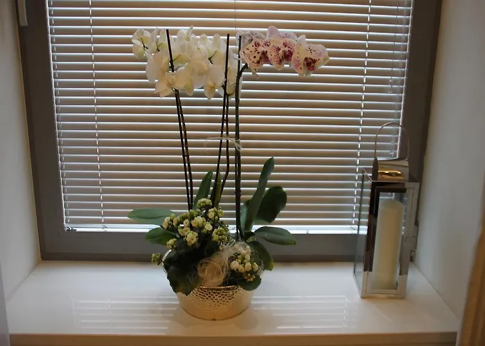 Prestige Old Town #2 *